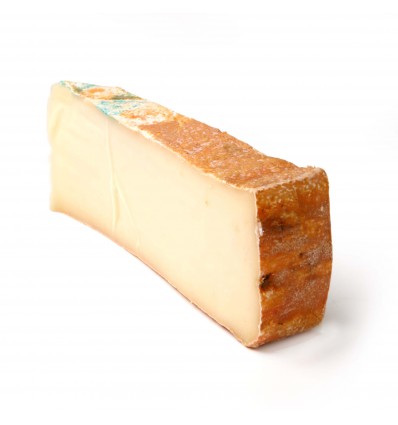 Fontina